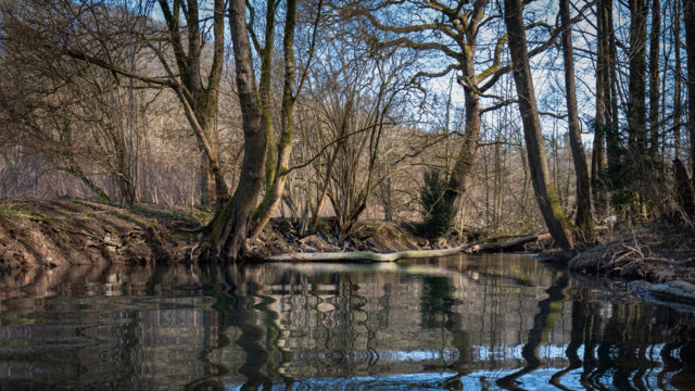 Dhünn im Winter Dhünn im Winter